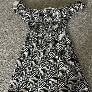 Zebra Print Skater Dress